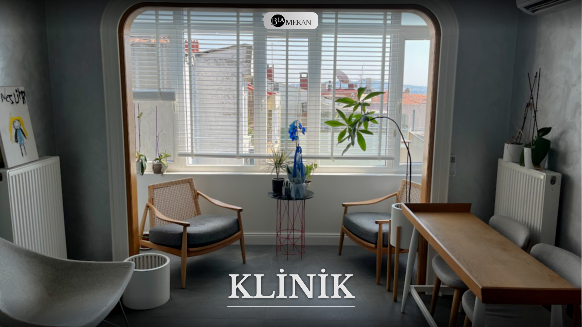 BİA-KLNK-2177