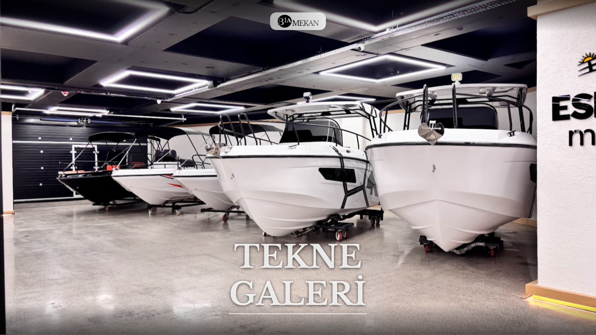 BİA-TKN GLR-1068