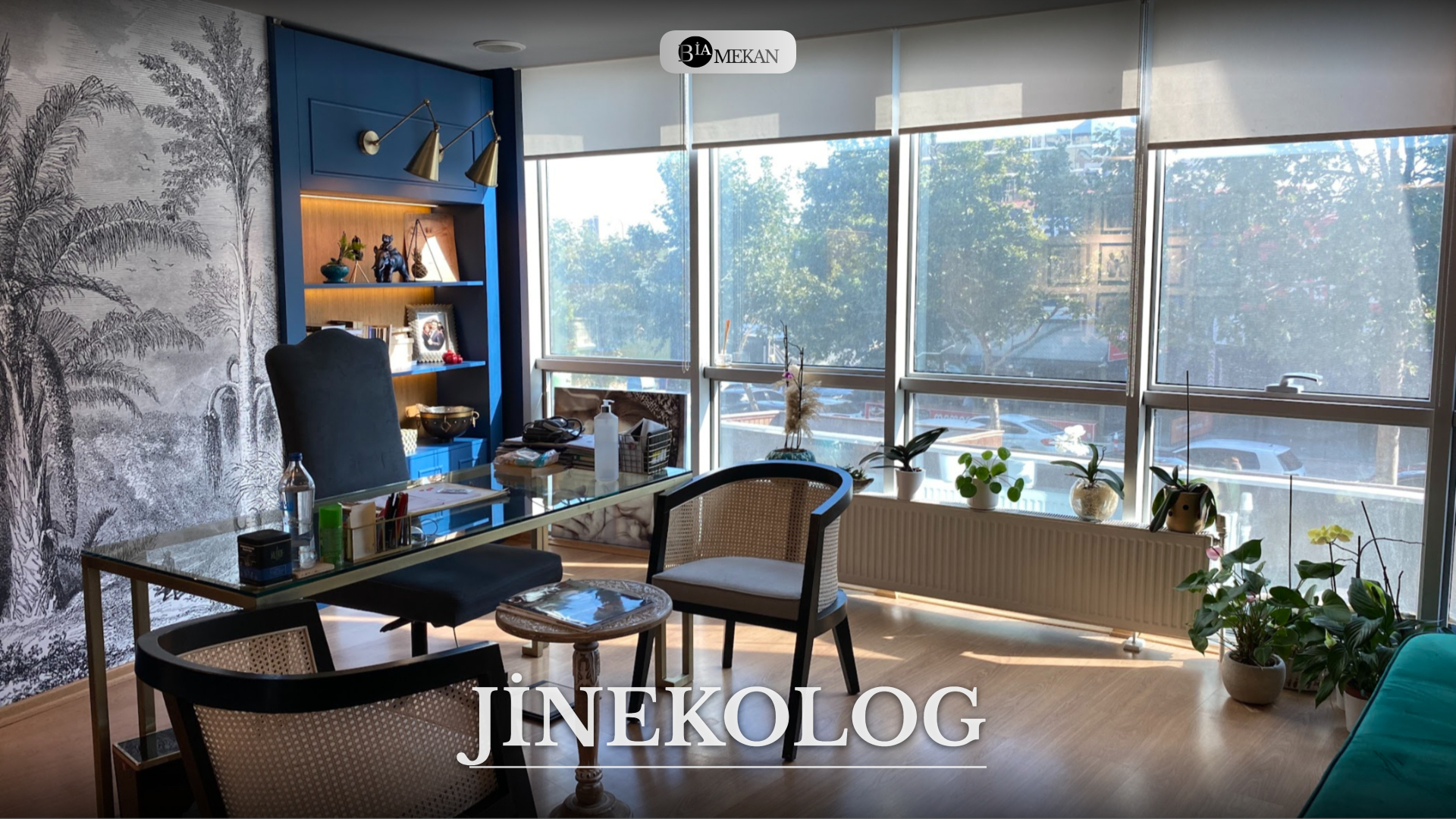 BİA-JNG-1609