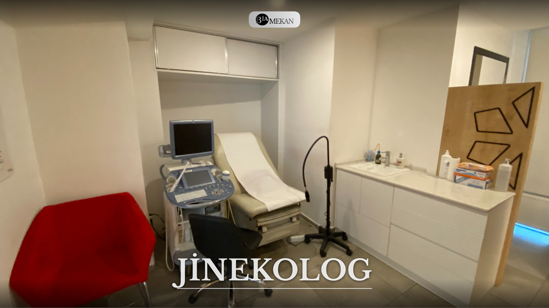BİA-JNG-1609