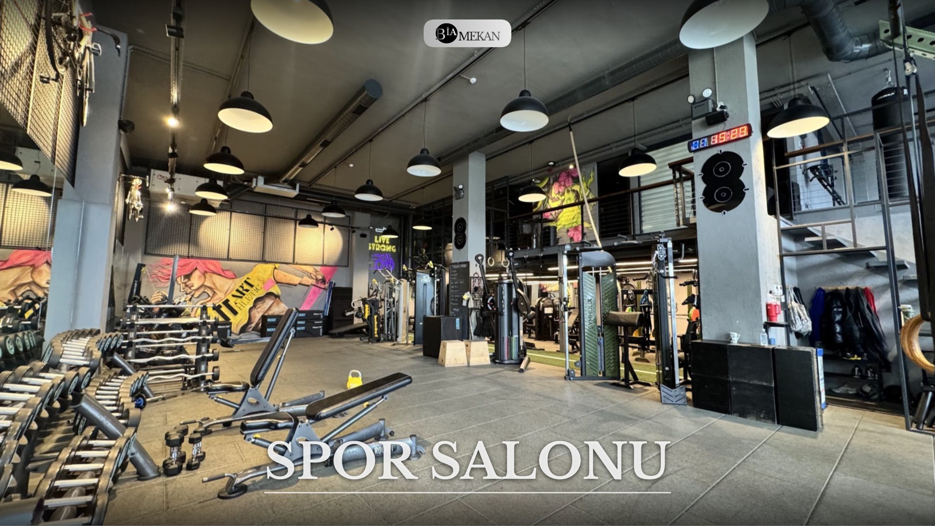 BİA-SPR SALON-2419