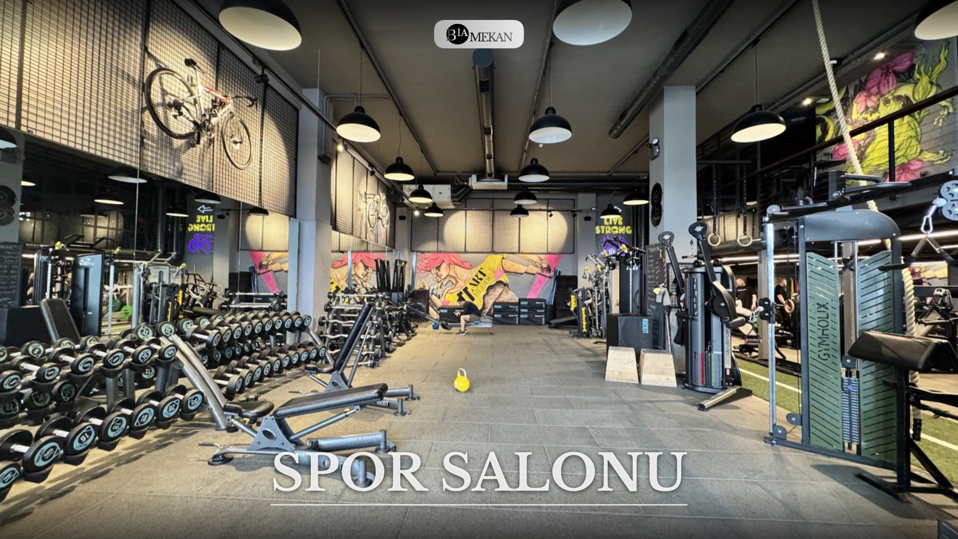 BİA-SPR SALON-2419